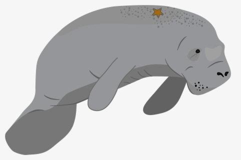 Manatee Silhouette Clip Art , Free Transparent Clipart - ClipartKey