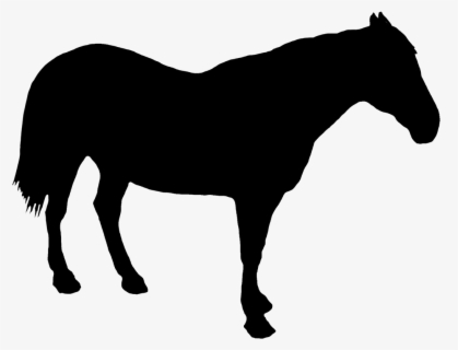 Horse Standing Silhouette Clipart , Png Download - Standing Silhouette 