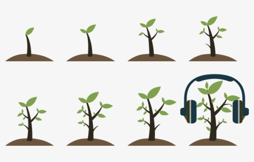 Trees Grow Icon Png , Free Transparent Clipart - ClipartKey
