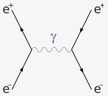 Transparent Squiggly Line Clipart - Feynman Diagram Electron Positron ...