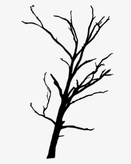 Simple Silhouette At Getdrawings - Dead Trees Transparent Background ...