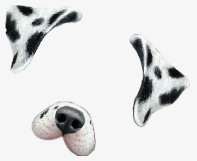 Snapchat Filters Clipart Dalmatian - Snapchat Dog Filter Png , Free ...