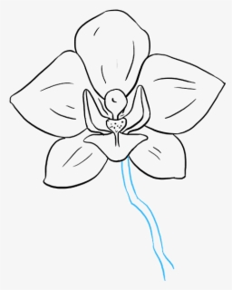 Orchid Flower Easy Drawing , Free Transparent Clipart - Clipartkey