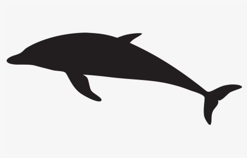 Dolphin Silhouette Png Clip Art Imageu200b Gallery - Transparent 