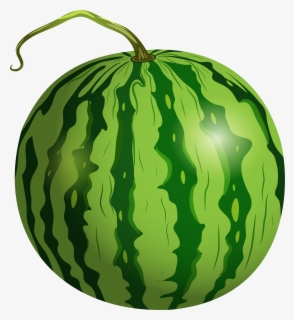Transparent Clipart Uploaded By Sahil Choudhary Clipartkey - watermelon hat water melon hat roblox free transparent