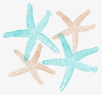 Download Free Starfish Clip Art With No Background Clipartkey