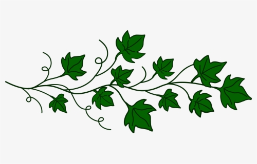 Vine Of Ivy Leaves - Clip Art Pumpkin Leaves , Free Transparent Clipart ...