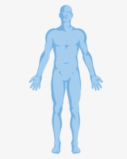 Free Body Outline Clip Art with No Background - ClipartKey