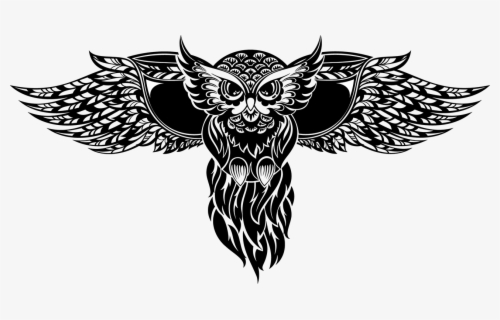 Owl Tattoo Drawing Illustration Stock Free Hq Image - Black And White ...
