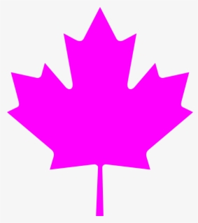Transparent Canada Leaf Png Free Transparent Clipart Clipartkey - transparent maple leaf for canada day roblox