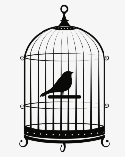 Free Birds Cage Clip Art With No Background Page 2 Clipartkey