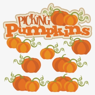 Transparent Pumpkin Patch Border Clipart - Fall Clip Art Pumpkin , Free ...