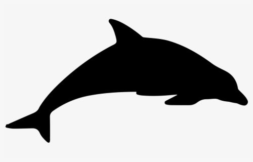 Animal Silhouette Dolphin , Free Transparent Clipart - ClipartKey