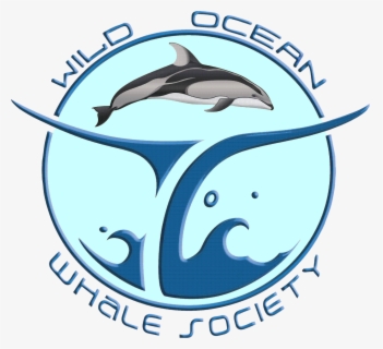 Cetaceans , Free Transparent Clipart - ClipartKey