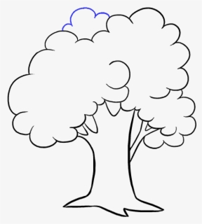 Clip Art Black And White Cartoon Tree - Tree Pictures For Drawing