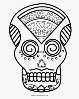 Download Skull Clip Art Free Clipart 2 Image Skeleton Face Coloring Pages Free Transparent Clipart Clipartkey PSD Mockup Templates