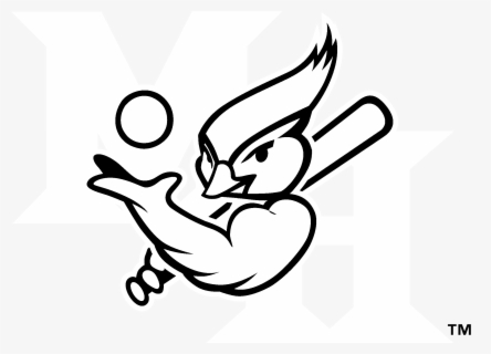 Free Blue Jay Clip Art With No Background Clipartkey