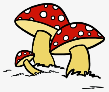 Featured image of post Teemo Shroom Drawing Uh oh the blitz app ran into a teemo shroom and died