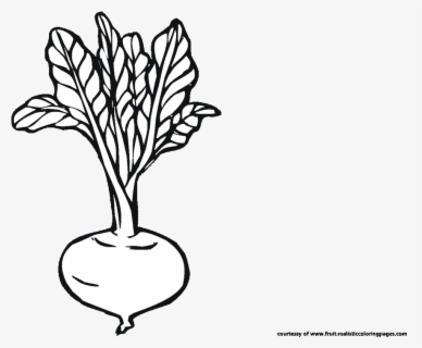 Celery Clipart Transparent - Celery Meaning In Hindi , Free Transparent