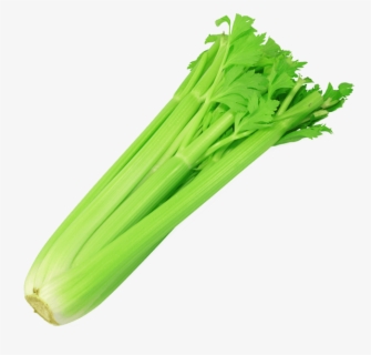 Celery Clipart Transparent - Celery Meaning In Hindi , Free Transparent