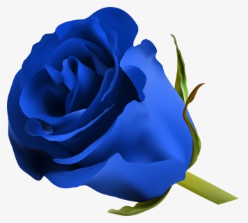 Transparent Roses Png Transparent - Royal Blue Flower Png , Free ...