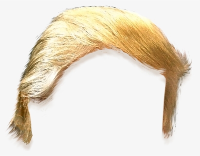 Donald Trump Hair Side View Png Transparent Clipart - Donald Trump Hair ...