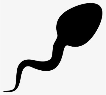 Download Sperm - Sperm Vector Png - ClipartKey