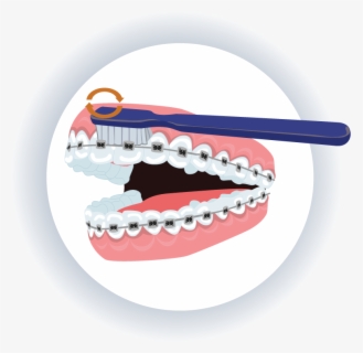 Teeth Clipart Oral Health - Oral Hygiene , Free Transparent Clipart ...