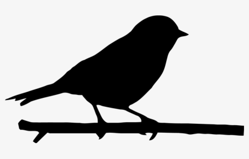 Mockingbird Small Bird On A Branch Clip Art At Vector - Blue Bird Png ...