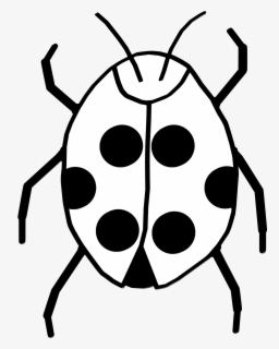Ladybugs Clipart - Bug Clip Art Black And White , Free Transparent ...