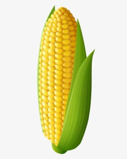 Free Corn Clip Art With No Background Clipartkey