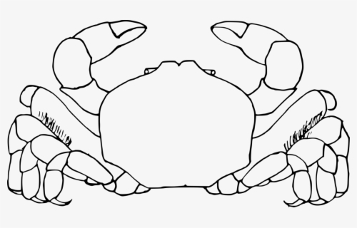 Moana Crab Clipart Free Transparent Clipart Clipartkey