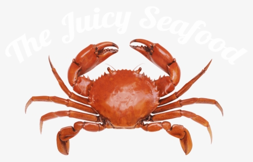 Moana Crab Clipart Free Transparent Clipart Clipartkey