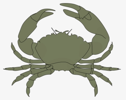 Moana Crab Clipart Free Transparent Clipart Clipartkey