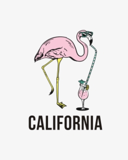 roblox t shirt flamingo