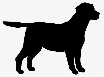 Labrador Retriever Outline - Black Outline Of Dog , Free Transparent ...