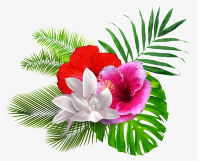 Tropical Flower Png Clipart - Tropical Flower Clipart , Free ...