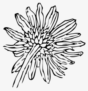 Free Sunflower Black And White Clip Art with No Background - ClipartKey
