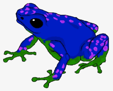 Poison Dart Frog Clipart Transparent Background - Clipart Frog , Free ...