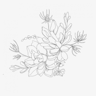 Collection Of Free Succulents Drawing Color Download - Succulent Clip ...