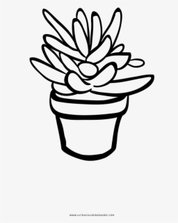 Free Succulents Clip Art with No Background - ClipartKey