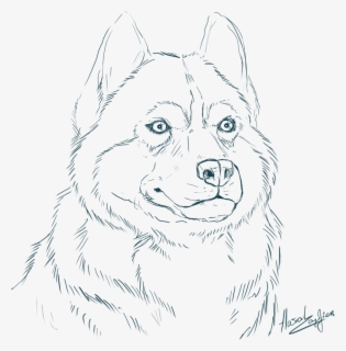 Cool Cute Husky Coloring Pages Siberian 14824 - Realistic Husky ...