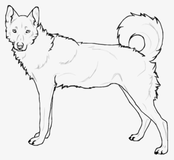 Cool Cute Husky Coloring Pages Siberian 14824 - Realistic Husky