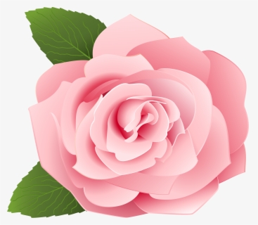 Free Pink Roses Clip Art with No Background - ClipartKey
