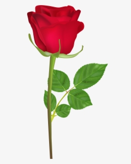 Happy Birthday Rose Gif Clipart , Png Download - Gulab Ka Phool Hd ...