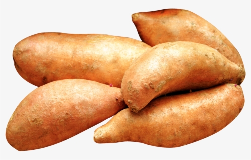 Yam - Sweet Potato Clip Art , Free Transparent Clipart - ClipartKey