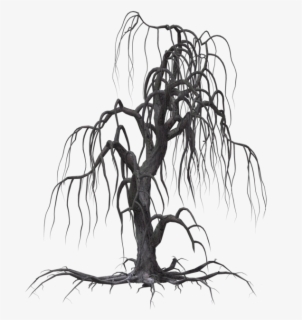 Tree Drawing Willow Clip Art - Creepy Tree Green Screen , Free ...