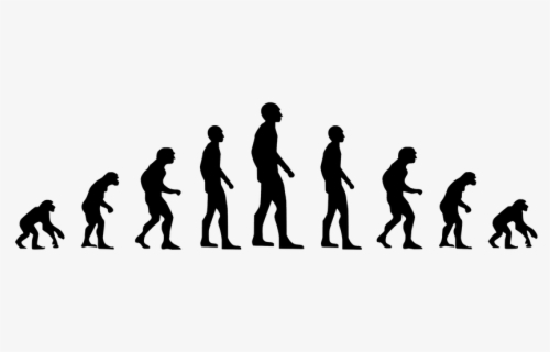 Human Evolution Vector , Free Transparent Clipart - ClipartKey