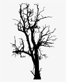 Tree Woody Plant Branch Twig Clip Art - Black Dead Tree Png , Free 