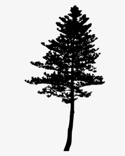 Download Free Pine Tree Silhouette Clip Art With No Background Clipartkey